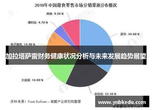 加拉塔萨雷财务健康状况分析与未来发展趋势展望