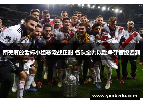 南美解放者杯小组赛激战正酣 各队全力以赴争夺晋级名额