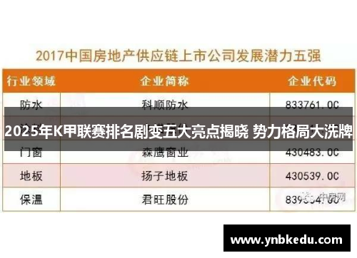 2025年K甲联赛排名剧变五大亮点揭晓 势力格局大洗牌