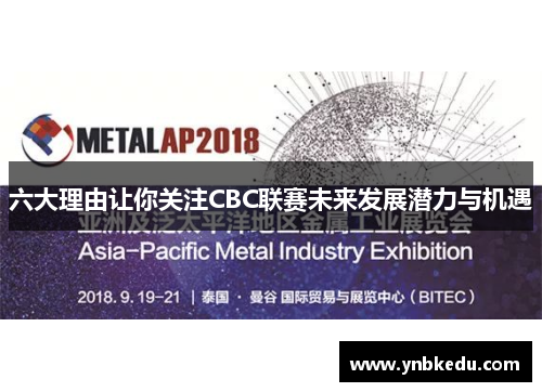六大理由让你关注CBC联赛未来发展潜力与机遇