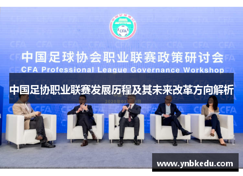 中国足协职业联赛发展历程及其未来改革方向解析