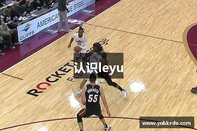 认识leyu